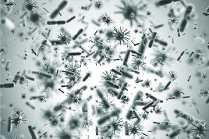 Bactériologie dans l'eau