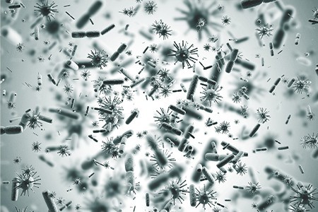 Bactériologie dans l'eau