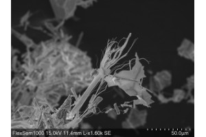 Analyse d’amiante dans les... 2